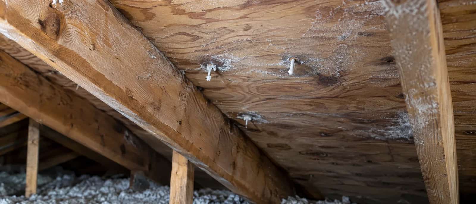 Light frost on roofing nails and plywood inside an attic.