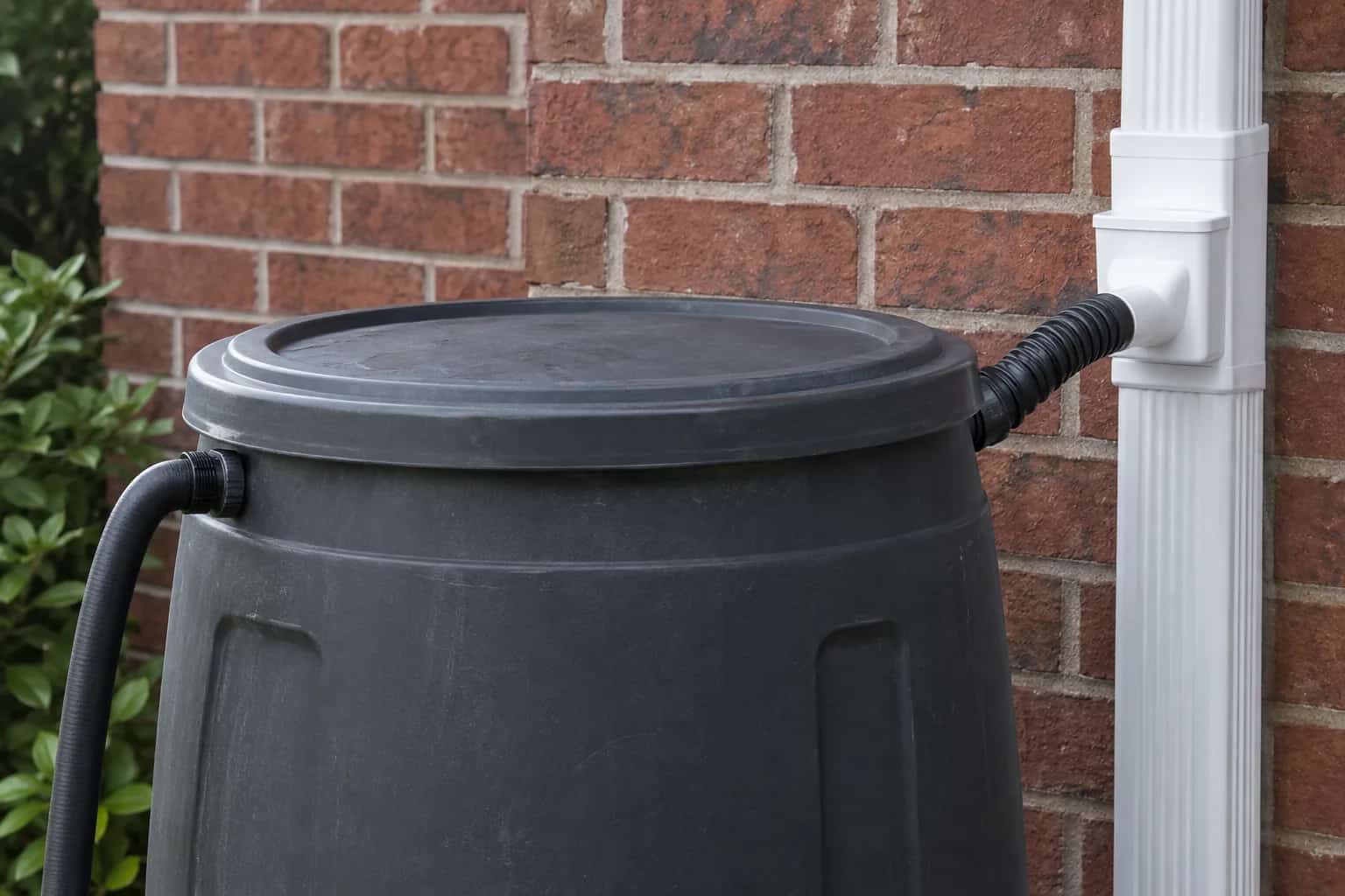 Black covered rain barrel with hoses beside a white downspout and brick wall